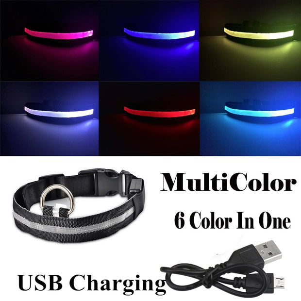 USB Rechargeable Pet Dog LED Glowing Collars