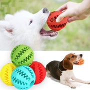 Interactive Rubber Balls Chewing Toys