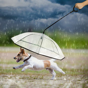Pet Dog Transparent Umbrella