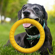 Pet Flying Discs Training Ring Puller Toys